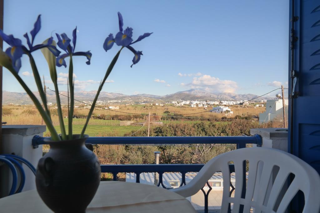 Mina'S Studios In Naxos Island Айос-Прокопіос Екстер'єр фото